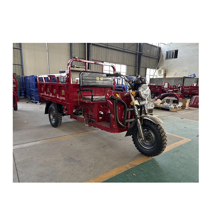 China Cheap Adult 150cc 175cc 3 Wheeled Gasoline Moto Cargo Load Tricycle Motorcycle for Delivery