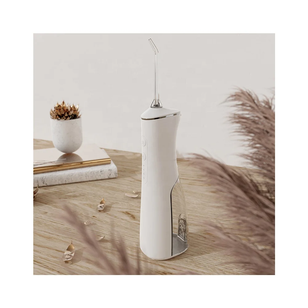 Professional Ipx7 portable rechargeable Four kinds of professional nozzles Health Teeth oral irrigator water flosser