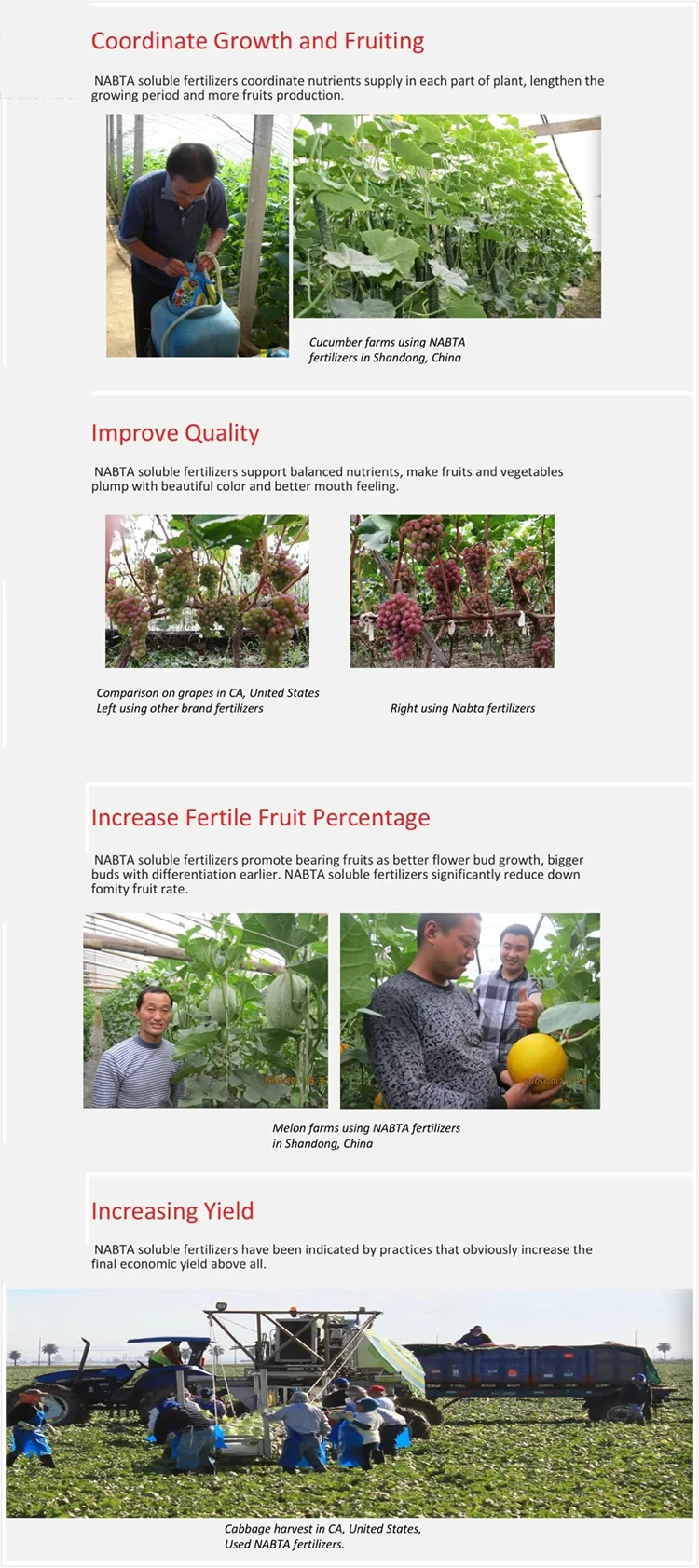 monoammonium phosphate price