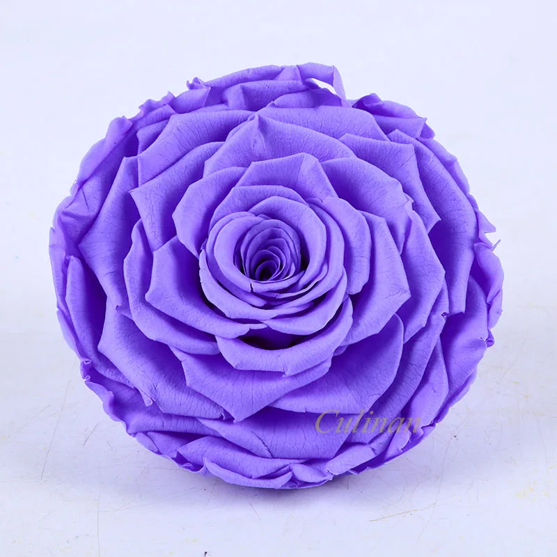 Culinan Wholesale Freeze Dried Roses Supplier Preserved Rose Preserved Flower Rose For Online Flowers Business