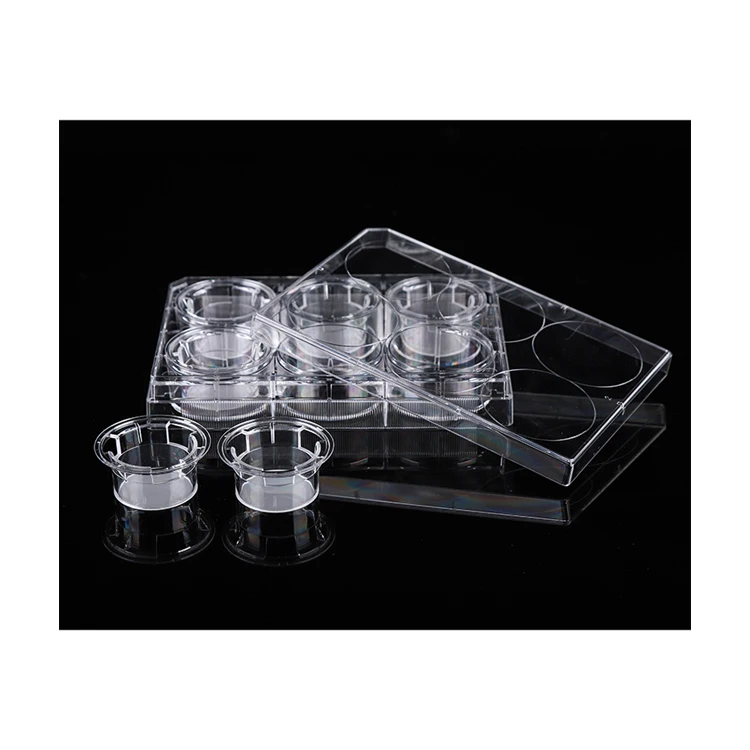 Factory Direct Lab Disposable TC-Treated  Cell Culture Plates 6/12/24/48/96/384 Wells