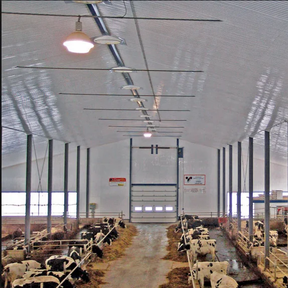 design building steel structure cow house cattle shed farm