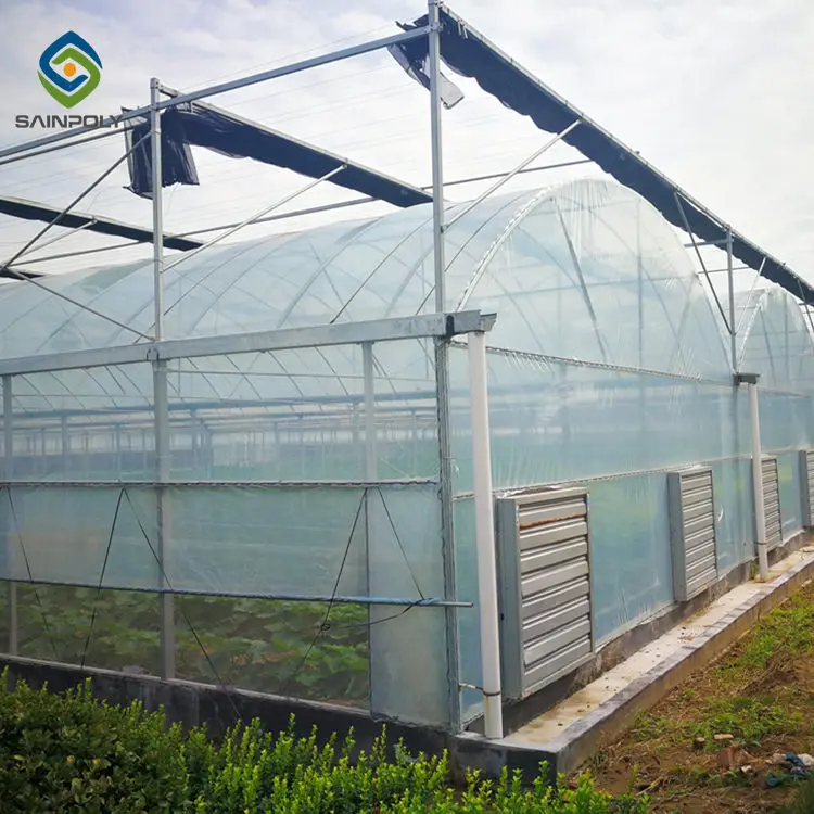 Low cost green house mushroom growing greenhouse