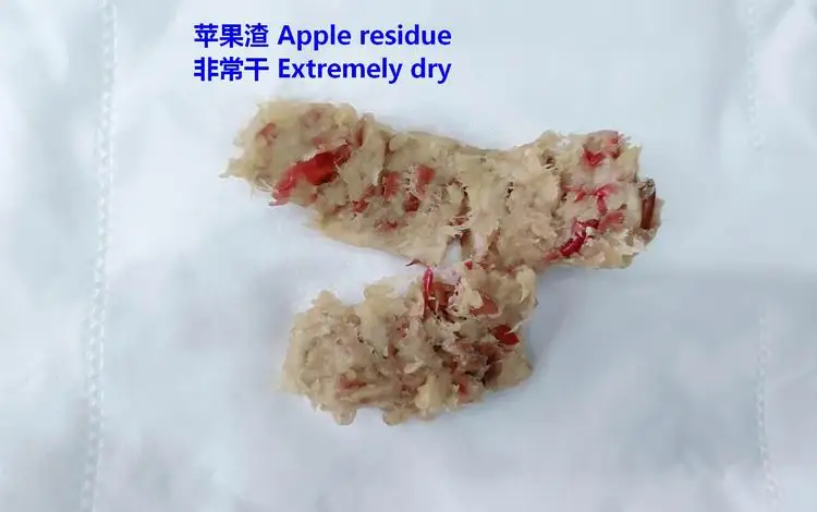 new arrival masticating juicer ROHS CE ETL LFGB approval masticating extractor high juice yield for household use