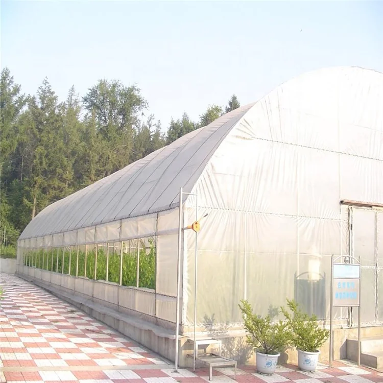 
low cost agricultural greenhouse single-span tunnel greenhouses construction 