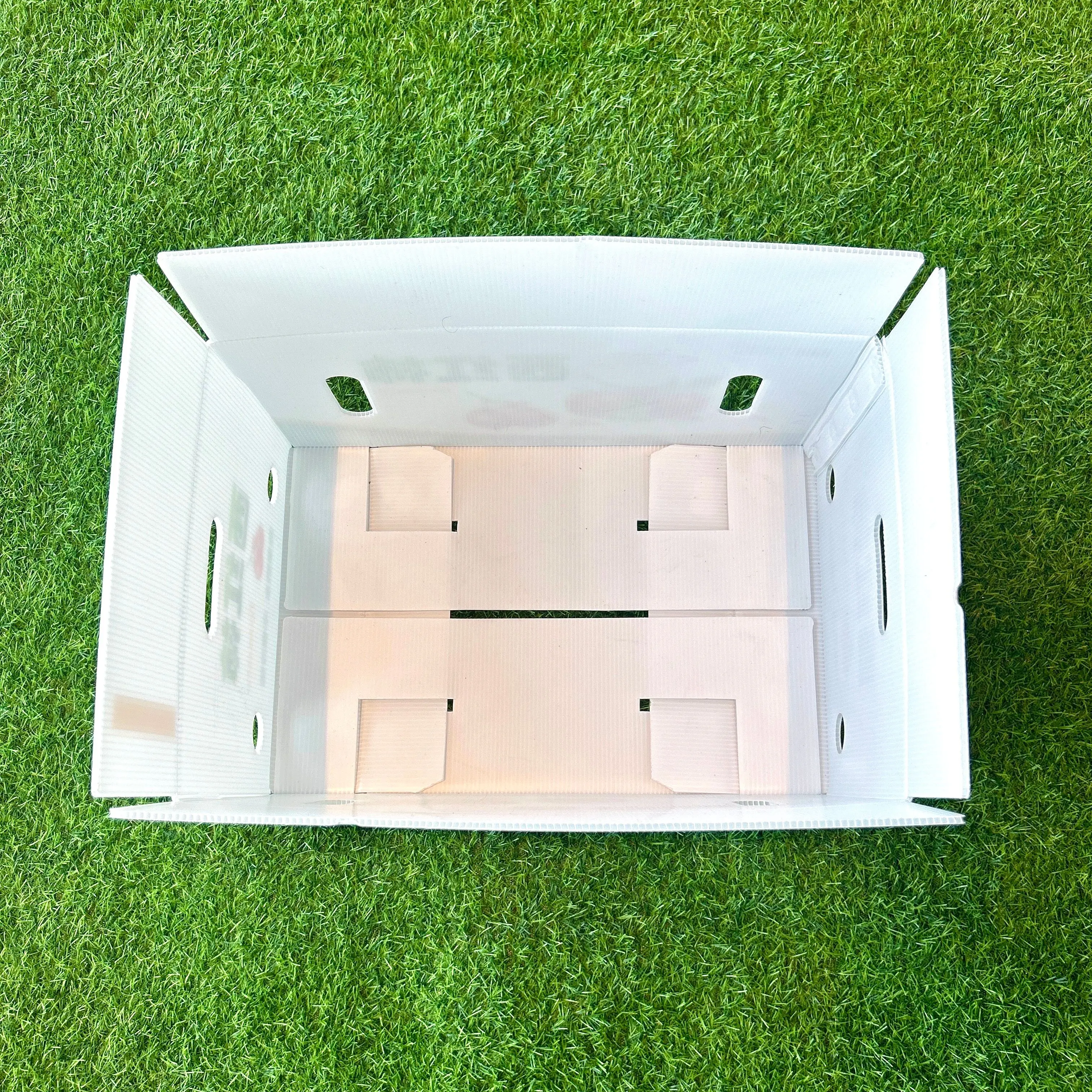 Fresh vegetables PP packing corrugated plastic box tomato  packaging box for storage