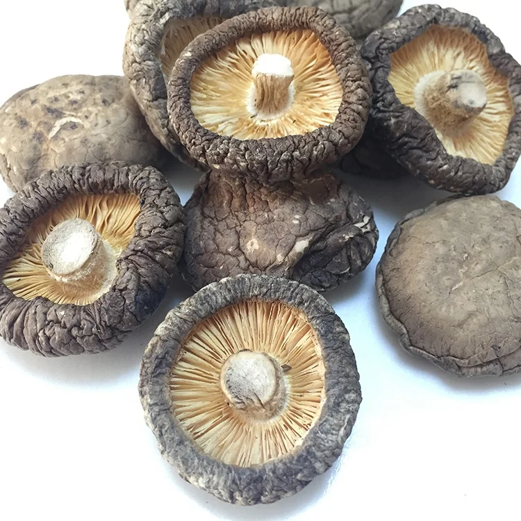 2019 Best Selling Bulk Mushrooms White Or Brown Dried Shiitake Mushroom