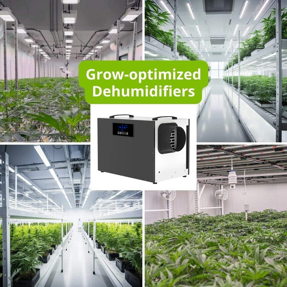 WHG-125P розничная продажа профессиональный большой парниковый пеньковый медицинский осушитель воздуха