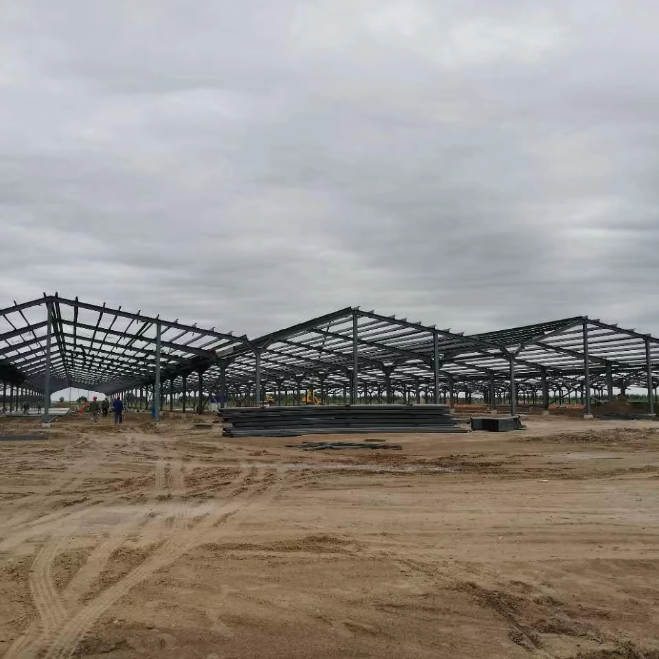 Modern Design Cattle Shed Steel Structure Farm House for Pig and Cow Breeding Durable Metal Building Materials