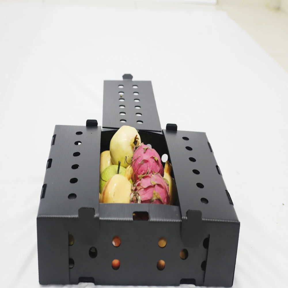 custom polypropylene sweet corrugated corn plastic boxes