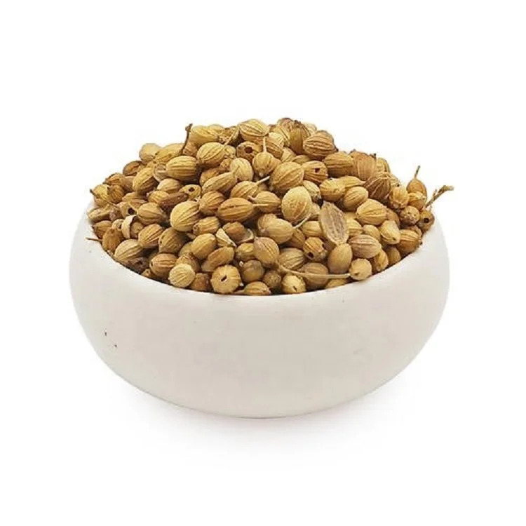 
High Quality 100% natural Coriander Seeds price supplier 
