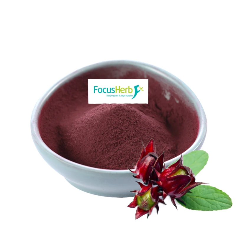 
FocusHerb Hibiscus Sabdariffa Juice Powder Hibiscus Powder 