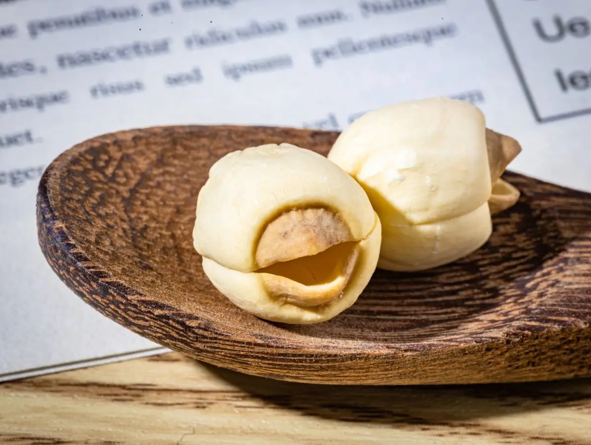 Factory Wholesales Dried White Lotus Seeds Lianzi of Traditional Chinese Medicine Chinese Dry Lotus Nut