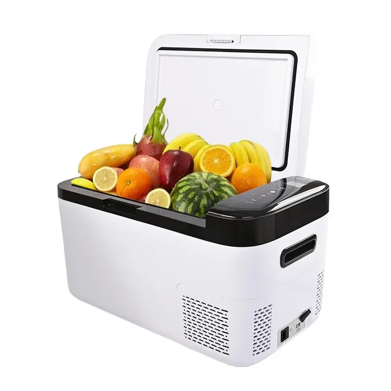 North american 12V suitable capacity cheap price car fridge refrigerator