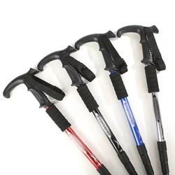 2022 Hot Selling mountain pole Ski Poles Trekking Pole Tip