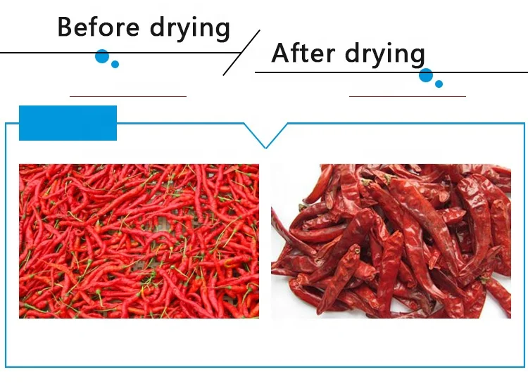 Conveyor hot air Silkroom Cocoon Dryer Machine  dryer food for mesh belt dryer