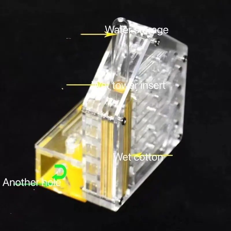 Acrylic Ants Housing Nest Insect Cage Feeding Ant Farm single Test Tube acrylic reptile cage ant moat