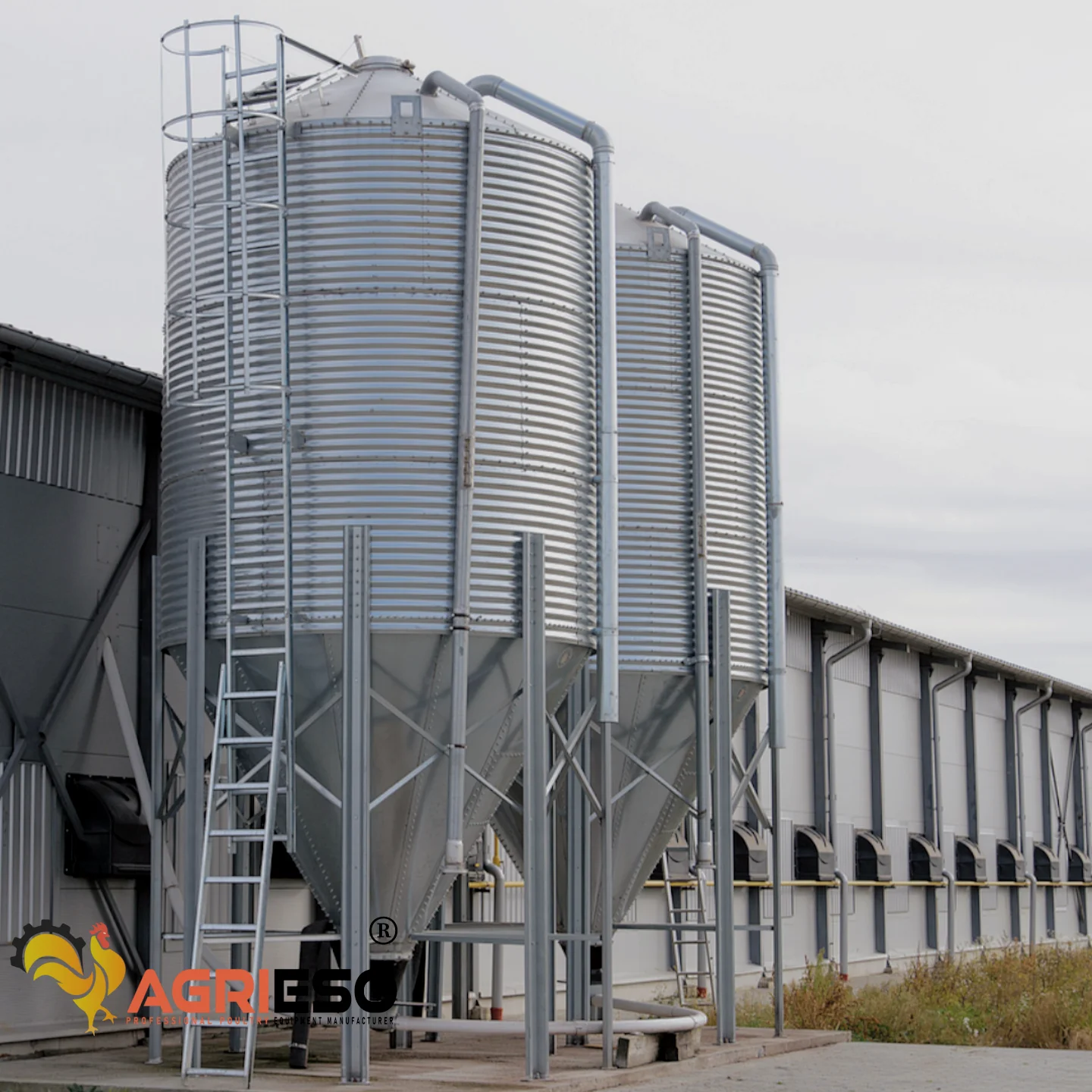 Agrieso AGS36-3 Layers 27.3 Ton Broiler Chicken Fresh Feed Storage Equipment Poultry Barn Food Silos For Grain Storage
