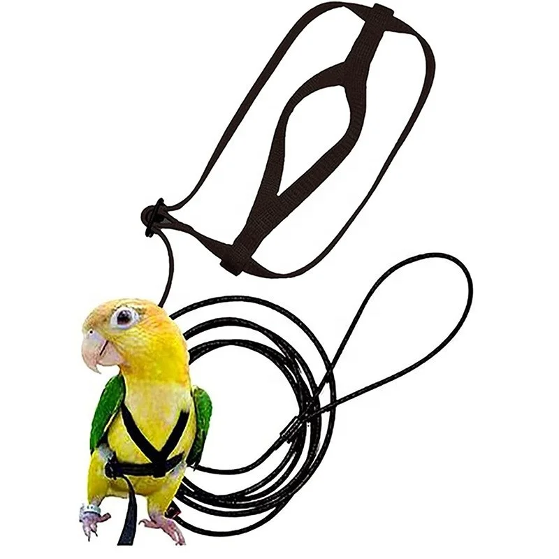 Parrot anti-bite safety rope bird harness  can be customized in a variety of specifications and colors