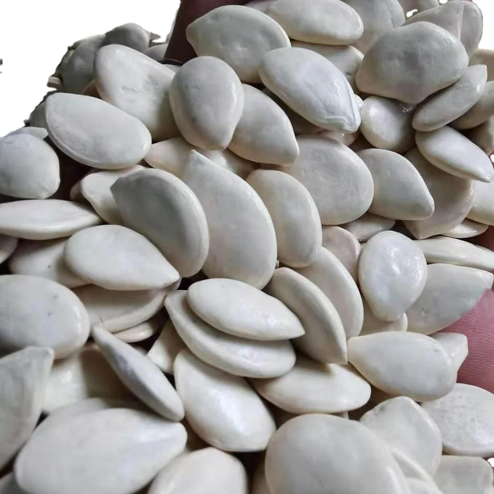 
Top Grade Factory supply premium white pumpkin seed 
