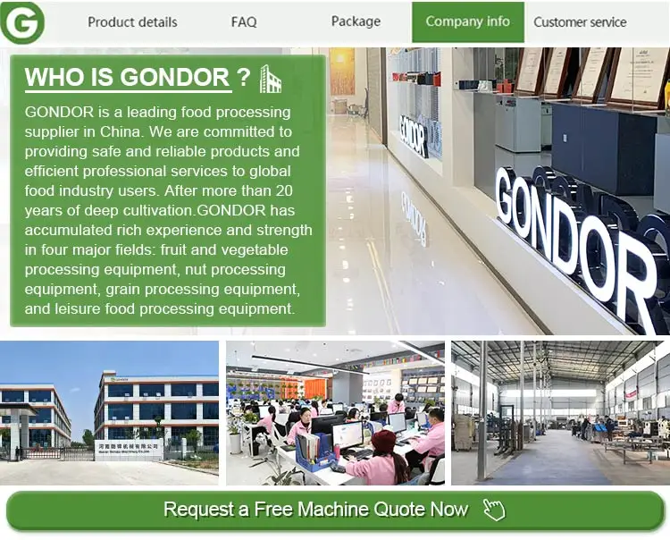 Gondor_cx (1)