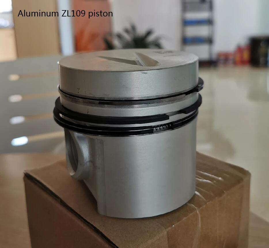 rik piston ring set made in China fast
