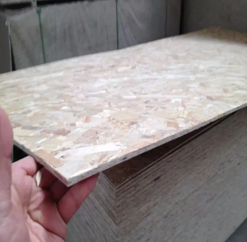 Hot Selling Cheap price E1 Glue OSB3 OSB2 OSB board for packing/furniture