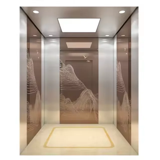 Custom Commercial Elevator Office Building Passenger Traction Elevator