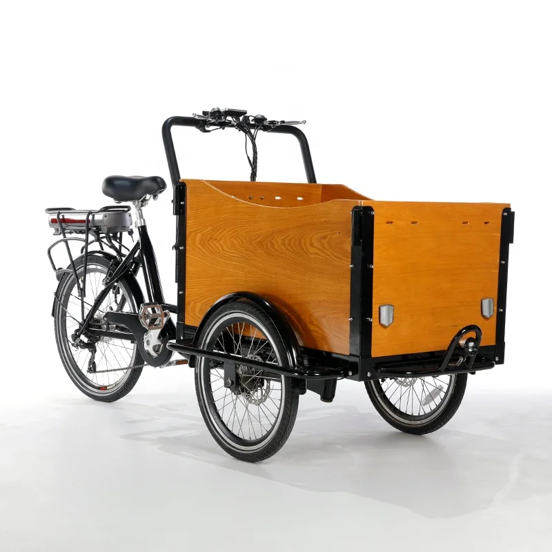 Front Loading with 4 baby safety belts dutch cargo bike 3 wheel bicycle three wheels adults cargo bike bakfiets
