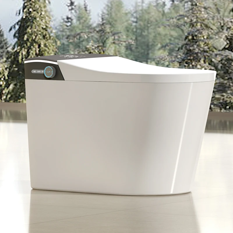 110v/220v Porcelain Automatic European Bathroom Sensor Auto Flush Bidet Wc Intelligent Bowl Smart Toilet