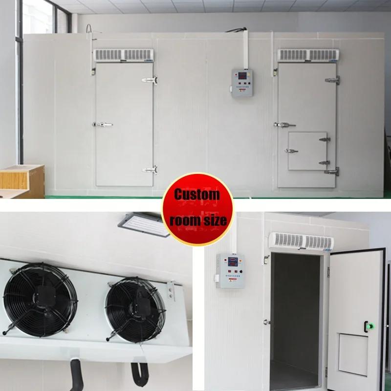Walk in Blast Freezer  Room Chiller Cold Room Solar Powered Cold Store Container Industrial Refrigerator For Meat