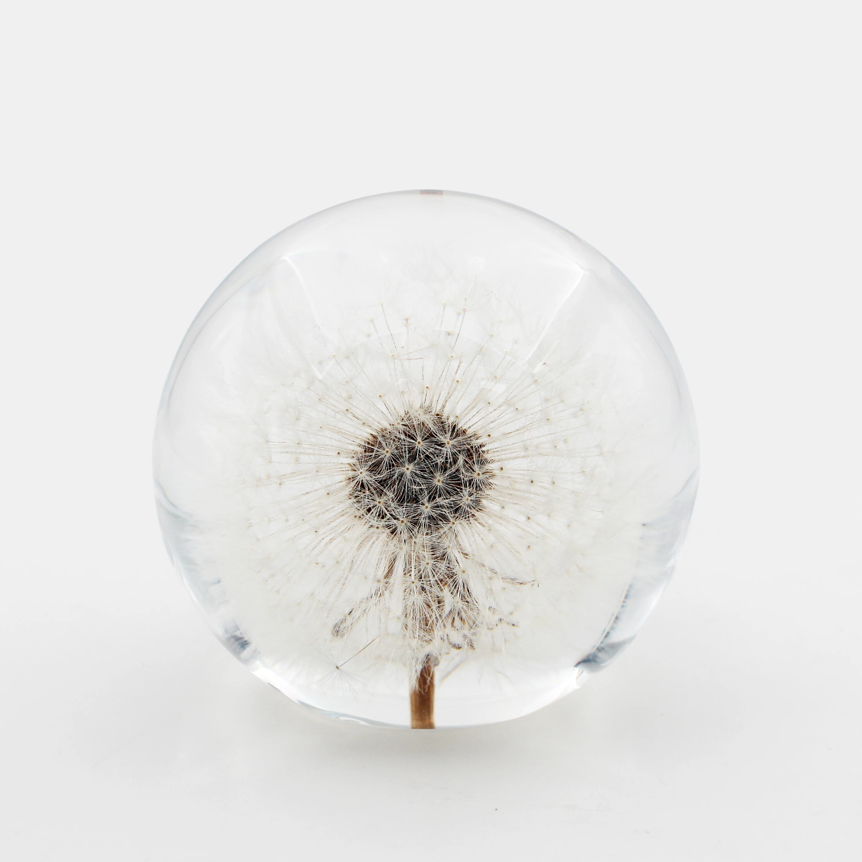 Sphere Ball Dandelion Paperweight dia 8.0cm with Flat Bottom