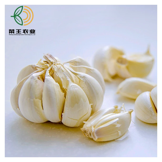 
2021 New Crop vegetable normal white fresh peeled fresh garlic galic price packed by mesh bag 