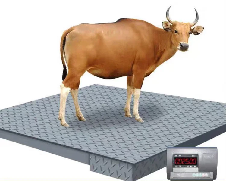 industrial smart digital weight scs electronic platform scale pig weighing scale floor scale