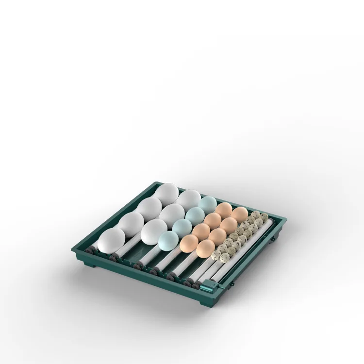 Mini 20 Egg Hatching Machine Automatic Chicken Egg Incubator For Sale