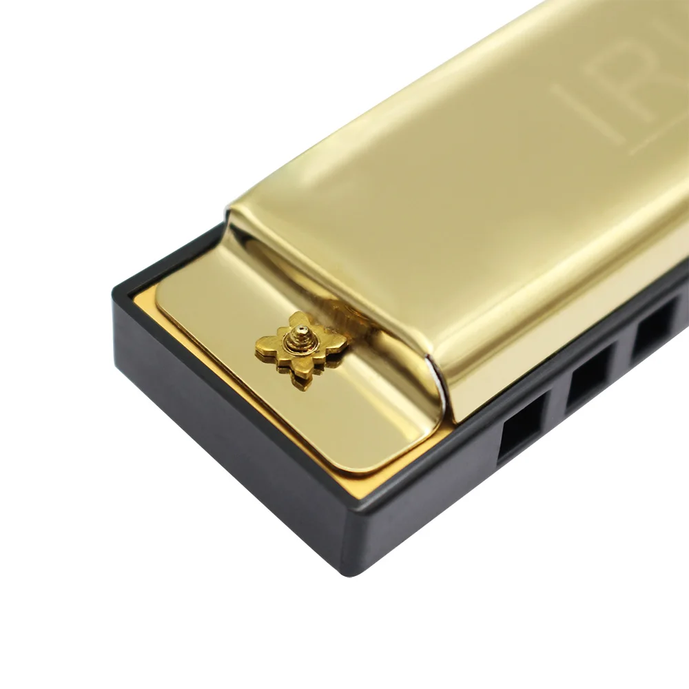  10 Holes 20 Tone Diatonic Blues Harmonica Key of C with Case for Beginner Children