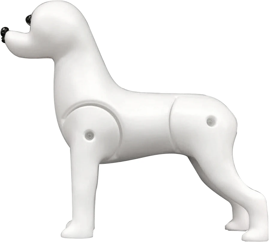 AEOLUS RMD-3101 model dog for pet school display grooming practice Bichon Frise Full Body Pet Dog Model Educational Dog