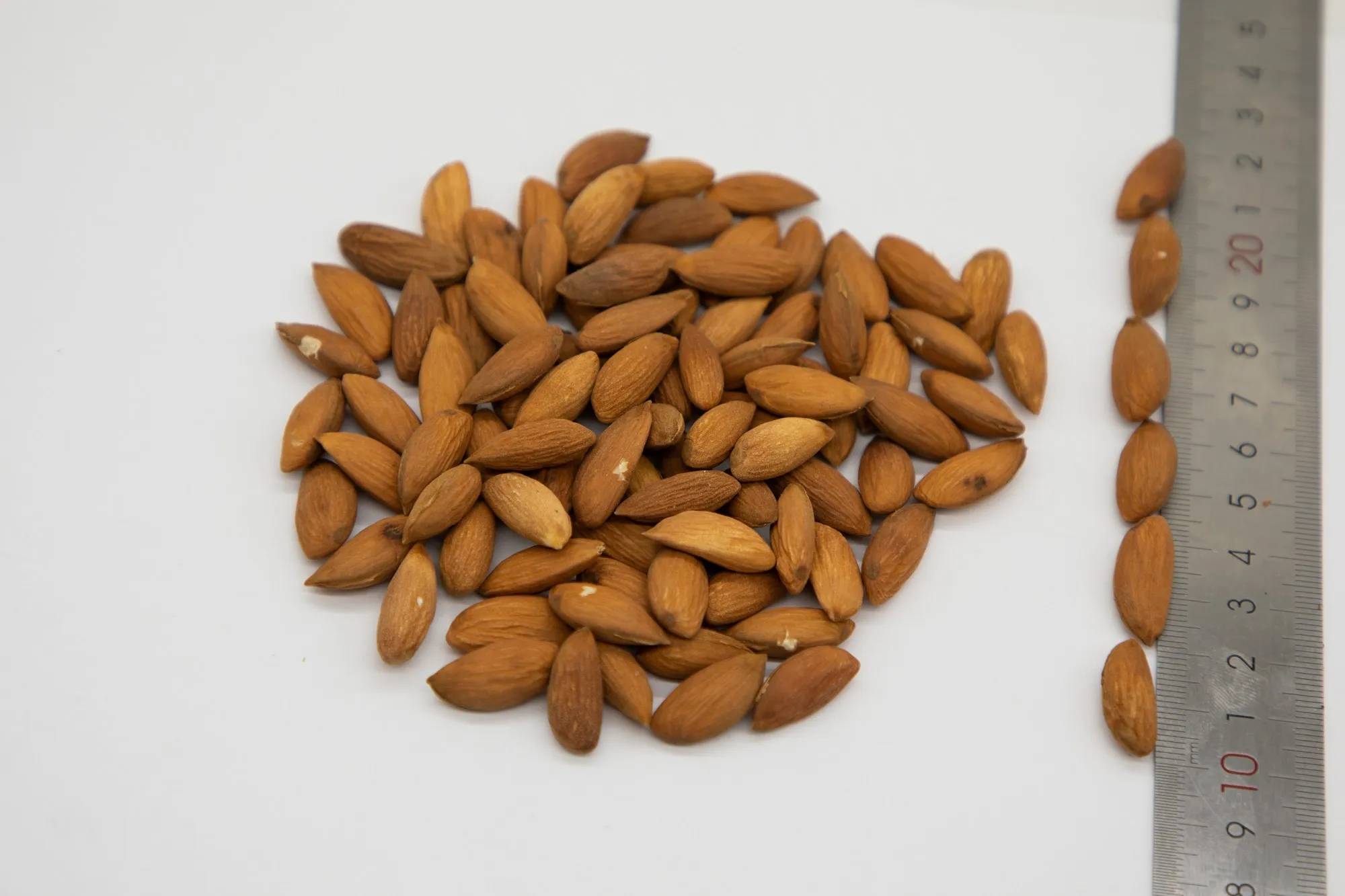 Healthy snack top grade organic almond kernels shelled almonds nuts in bulk from Uzbekistan manufacturer
