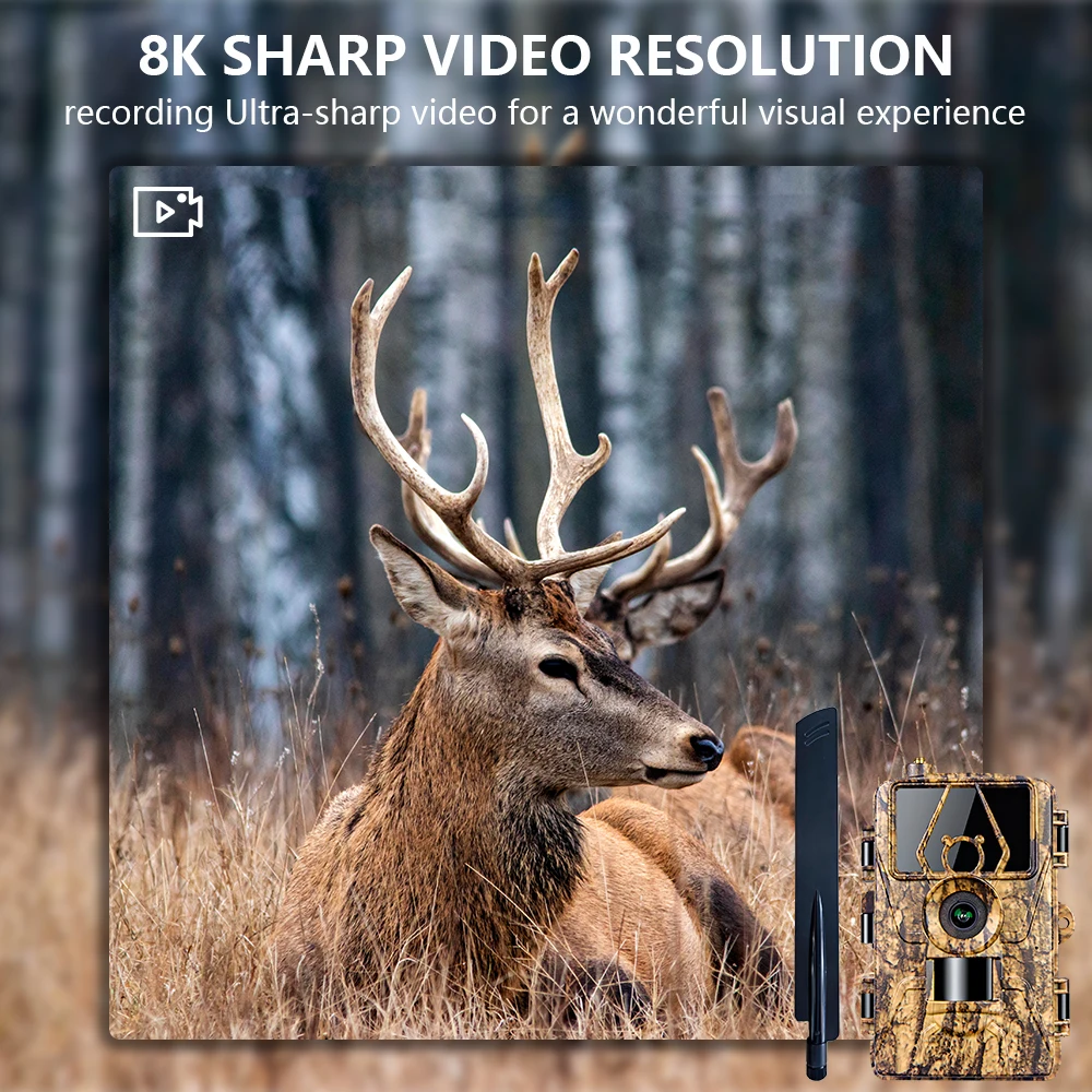 PR801W WiFi 8K Hunting Trail Camera Trap 60MP Support APP with IP66 Waterproof for Outdoor Animal Hunting