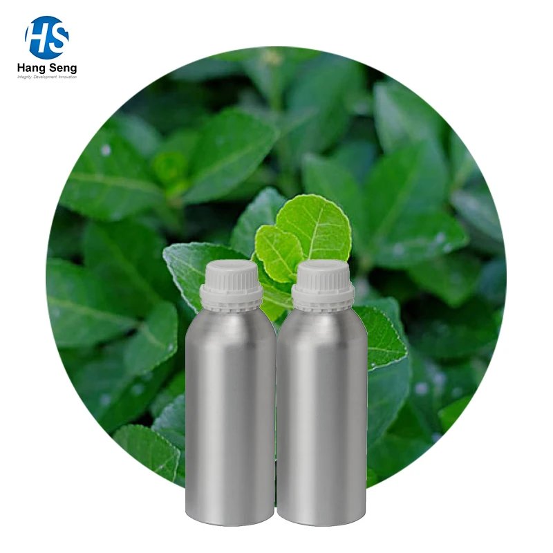 
Bulk Wholesale 100% Pure Natural Oil of Wintergreen/Organic Wintergreen Oil Bulk/100% Natural Wintergreen Oil Bulk Wholesale 