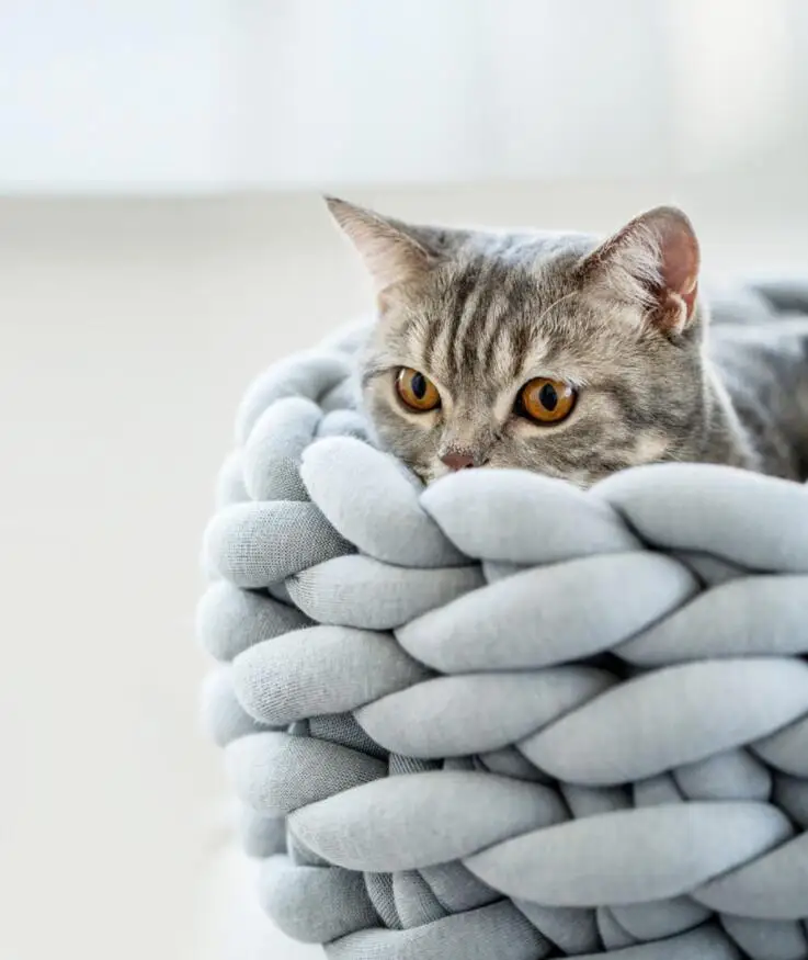 Luxury Round Breathable Hand Knitting Yarn Cat Bed Round Hand Weaving Pet  Dog Bed