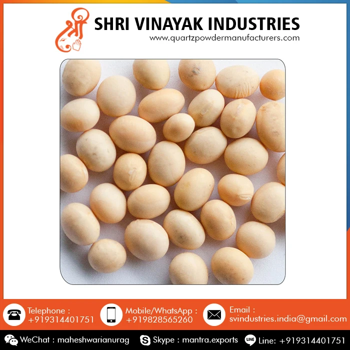 
Food Grains Organic Soybean Seeds 