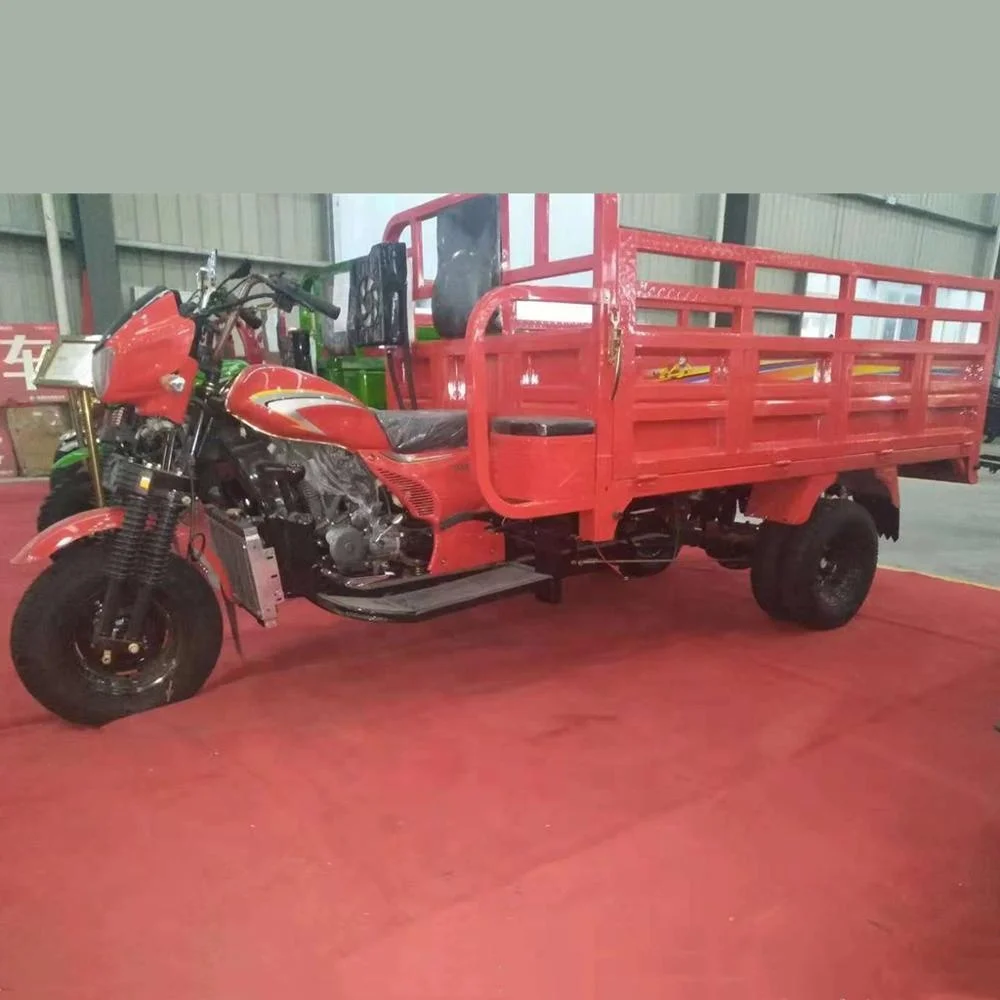 250cc motorized gas powered Van cargo tricycle /three wheel cargo motorcycle for farming
