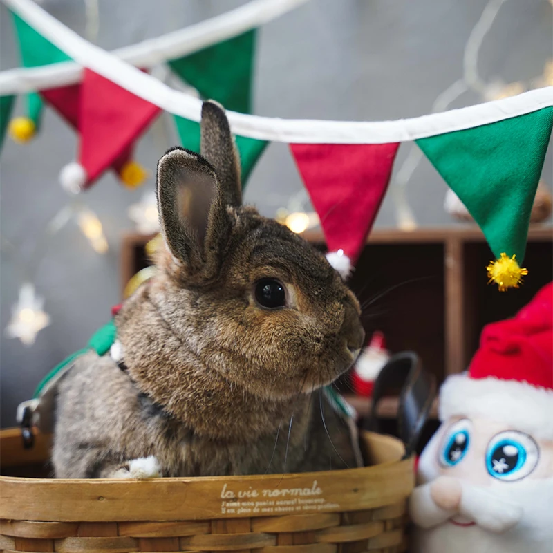New year Christmas Christmas clothes flag guinea pig chinchilla Christmas cloth bag grass rack traction rope rabbit vest clothes