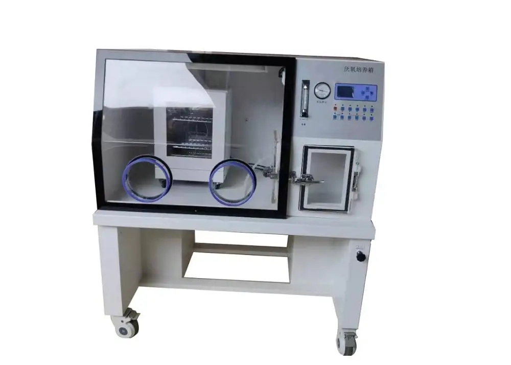 Laboratory Anaerobic Incubator Chamber