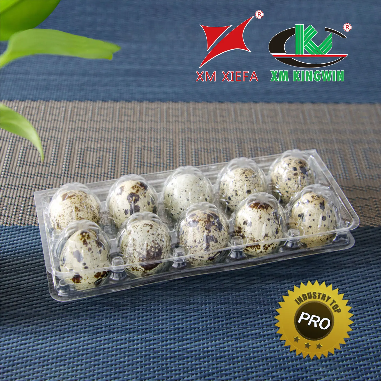 10 Holes Quail Eggs Tray PET Plastic Disposable Clear Blister Blister Packaging