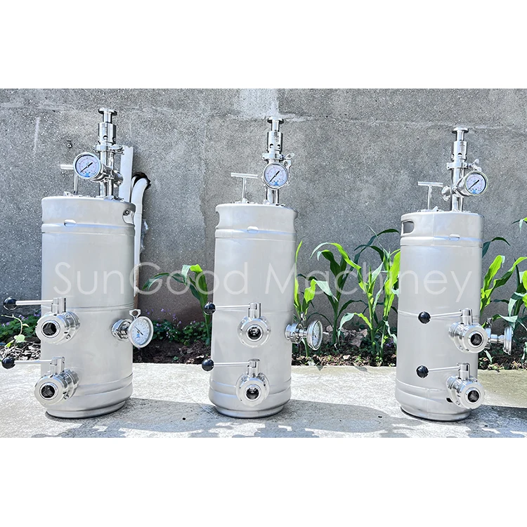 20L 30L 50L 60L yeast propagation keg Beer Keg For Dry Hop And Add fruit/Keg Yeast Brink/Yeast Propagation Keg