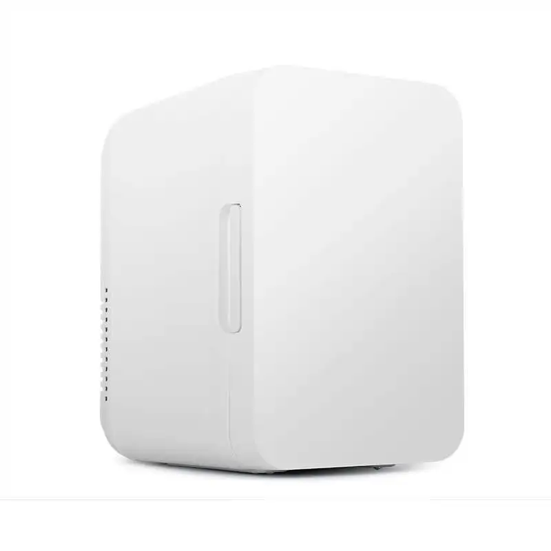 Top Quality Cooler Box Garage 12v 8l Capacity Cooler Different Color Mini Car Refrigerator