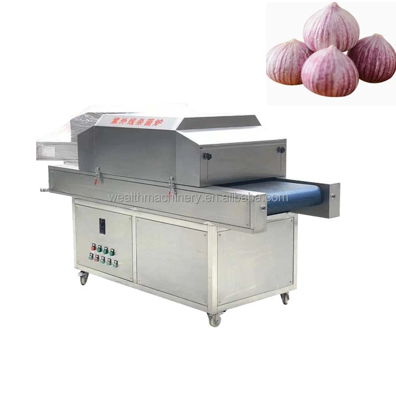 Professional Manufacturer Food Tunnel Sterilizer Machine UV Sterilizer Tunnel with Ultraviolet Sterilizing Lamp