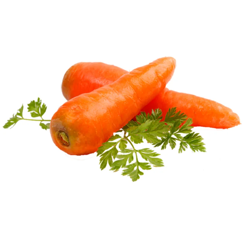 Export 2022 crop Wholesale   Carrot Fresh Organic Red Carrots